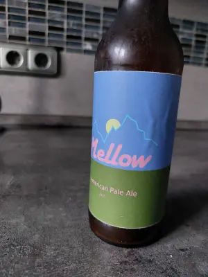 Zlotta's photo of Mellow