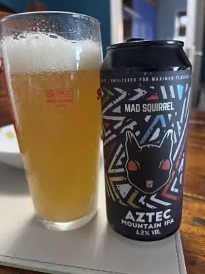 Mr_Pink_152's photo of Aztec