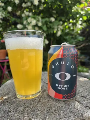 Lunde's photo of Five Fruit Gose