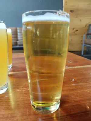 Clarkvv's photo of State Park Lager