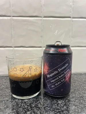CraftBeerNick's photo of Magnetic Domain