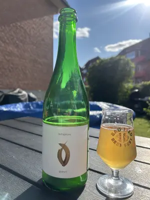 Dedollewaitor's photo of Qvevri