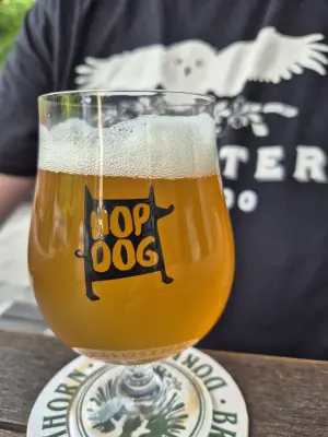 CBarley's photo of Mojito Cocktail Sour