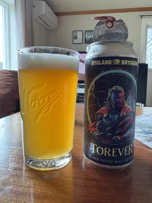 Chris_Ofstad's photo of Torevêr