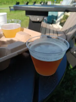 solidfunk's photo of Pale Ale