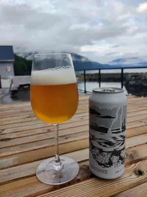 Holmen_1's photo of New England India Pale Ale