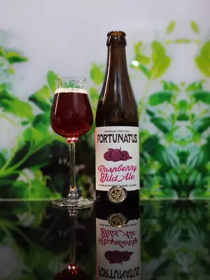 Oczek2015's photo of Fortunatus Raspberry Wild Ale BA