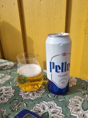 Arsol's photo of Pelles Pilsner