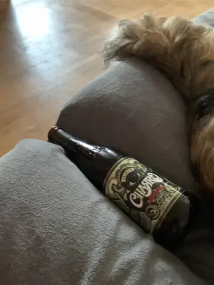 Nisse666's photo of Pilsner