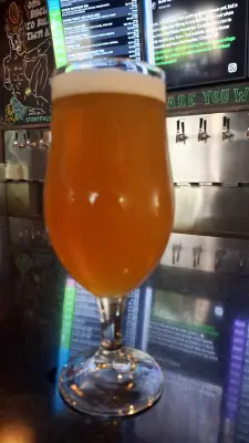 lore's photo of Delicious Citrus IPA