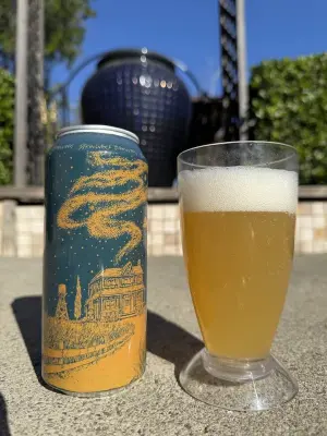 bhensonb's photo of Fvzz - Riwaka & Mosaic
