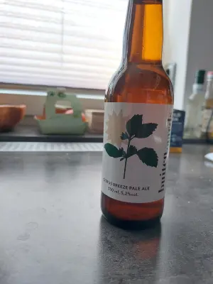 Zlotta's photo of Citrus Breeze Pale Ale