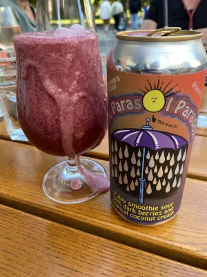 IpaPils's photo of Megabear The Parasol Paradox
