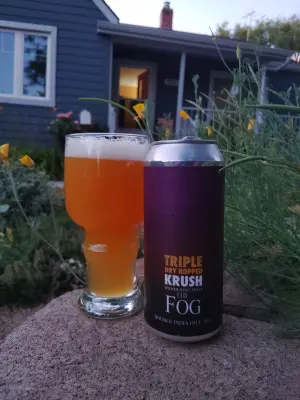 stevoj's photo of Wandering into the Fog - Krush Triple Dry-Hopped
