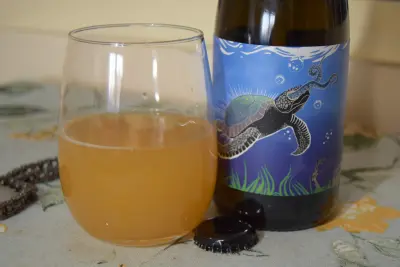 AleDegustation's photo of Tortuga