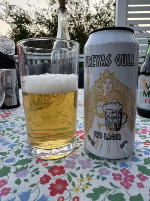 Chris_Ofstad's photo of Freyas Gull