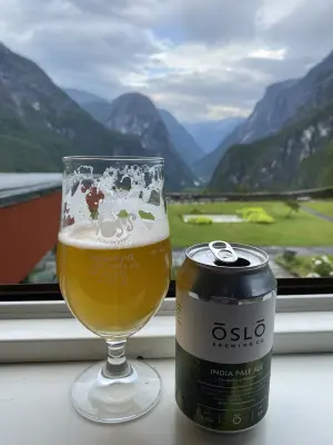 IpaPils's photo of India Pale Ale (2024-)