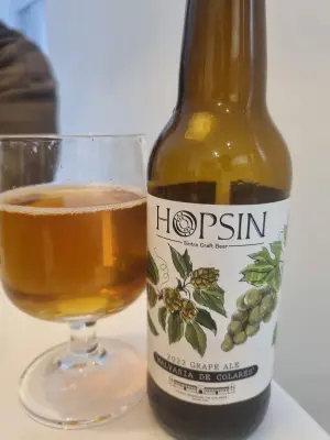 Arsol's photo of Grape Ale 2022