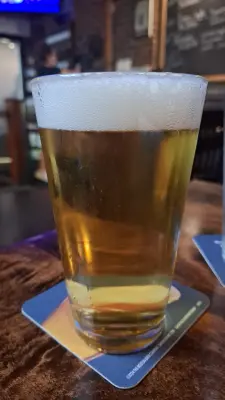 lore's photo of Pliny the Elder