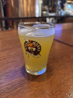 Jow's photo of Flagship IPA