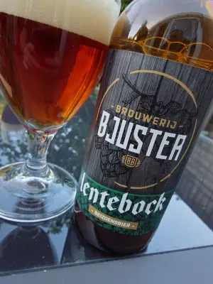 TomHendriksen's photo of Lentebock