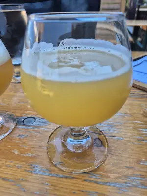Lubiere's photo of Carbonifère