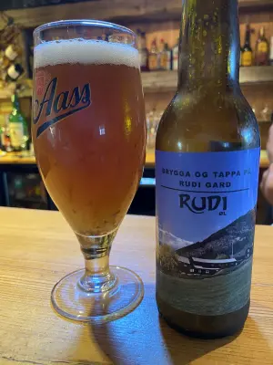 IpaPils's photo of Amber Ale