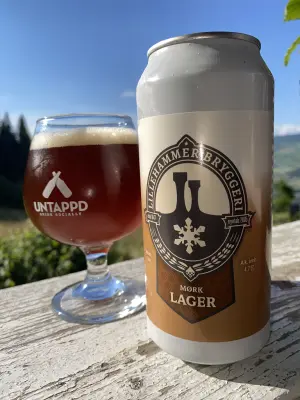 IpaPils's photo of Mørk Lager