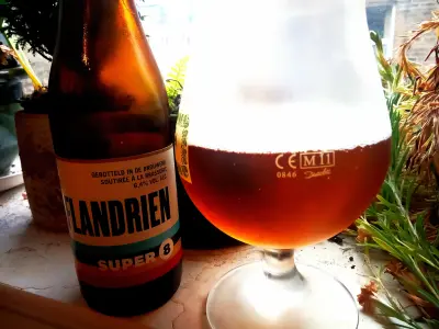 Olut's photo of Super 8 Flandrien