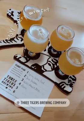 Dogbrick's photo of Alora Hazy Session IPA