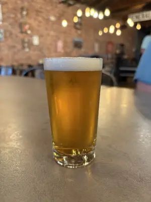 Gripweed57's photo of A Sunny Day IPA