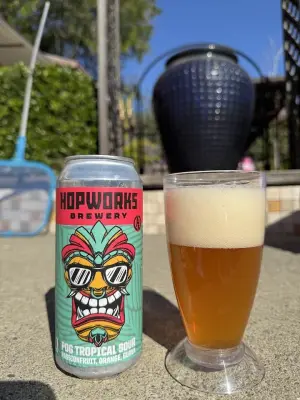bhensonb's photo of POG Tropical Sour