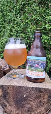 EvNa's photo of El Boene Tchote Blonde Pour Ché Gins D'ech Crotoé