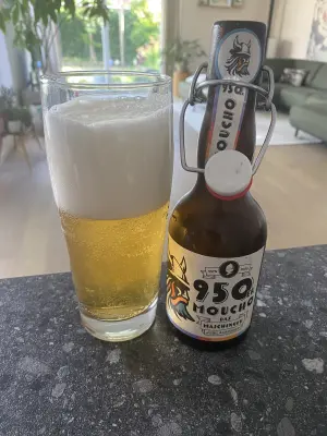 Borresteijn's photo of 950er Moucho - Das Maichinger Jubiläumsbier