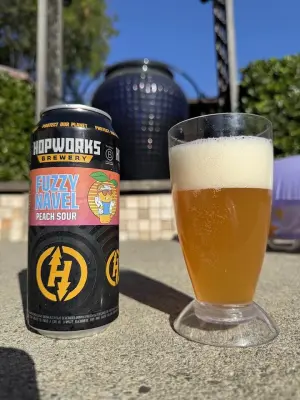 bhensonb's photo of Fuzzy Navel Peach Sour