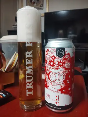stevoj's photo of Zymopunk Pilsner
