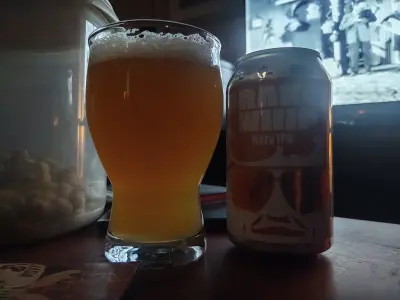 stevoj's photo of Orange Whip Hazy IPA