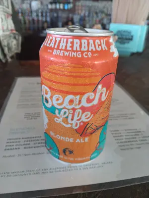 solidfunk's photo of Beach Life