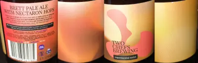 Dorain's photo of Experimental Series: Brett Pale Ale