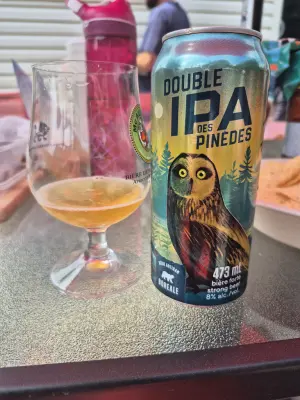 Lubiere's photo of Double IPA des Pinèdes