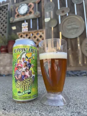 bhensonb's photo of Spruce Tip Pale Ale