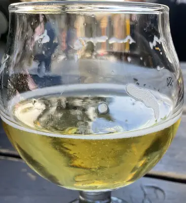 thorongil's photo of Italian Style Pilsner