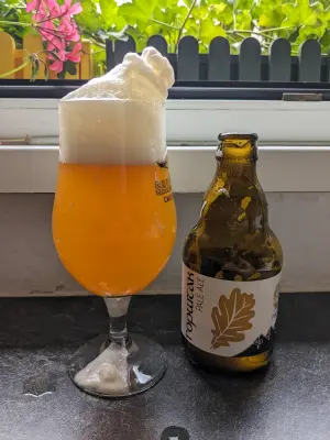 Goldbarren's photo of Pale Ale