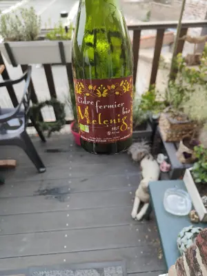 minutemat's photo of Cidre Fermier Bio Brut