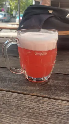 Gurthnar's photo of Místní Nekyseláč
