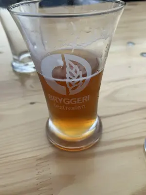 RuneBlix's photo of Skogens Gull