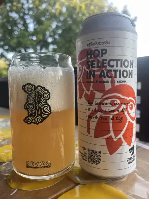 Kita's photo of Concoction: Hop Selection In Action