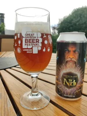 Holmen_1's photo of The Wizzard From The North