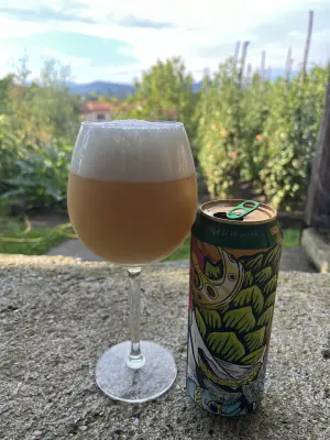 Borresteijn's photo of Hop Dealer