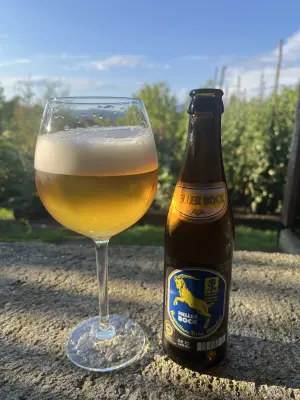 Borresteijn's photo of Heller Bock
